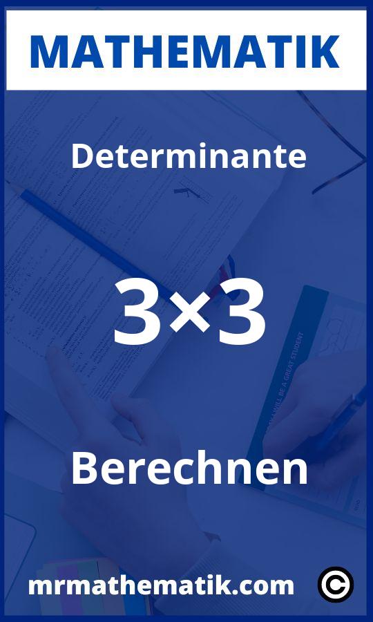 Determinante 3×3 berechnen Aufgaben PDF
