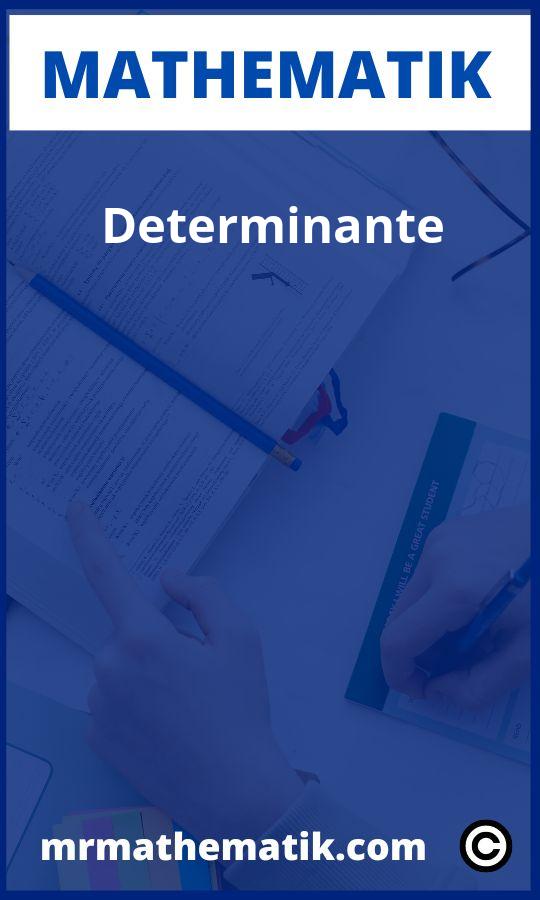 Determinante Aufgaben PDF