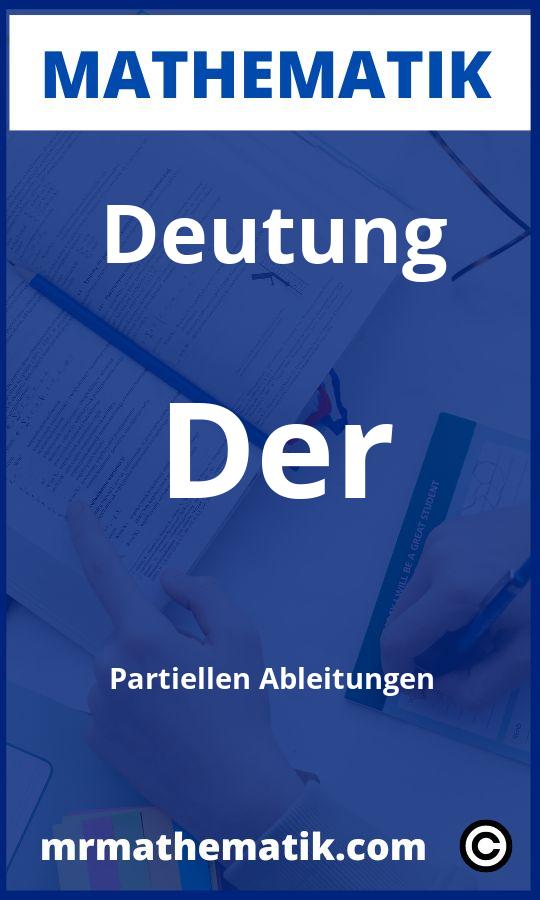 Deutung der partiellen Ableitungen Aufgaben PDF