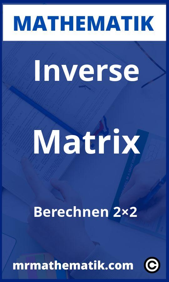 Inverse Matrix berechnen 2×2 Aufgaben PDF
