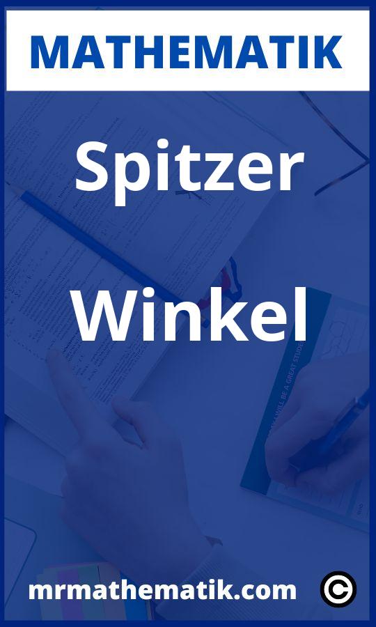 Spitzer Winkel Aufgaben PDF